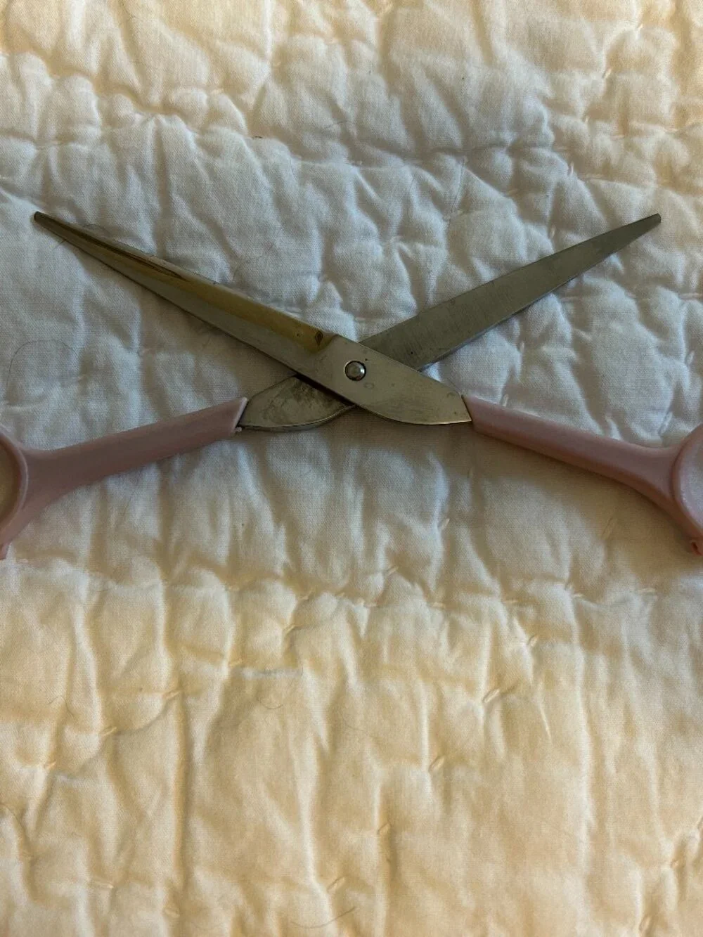 Pet Grooming Scissors Fur Cats Dogs